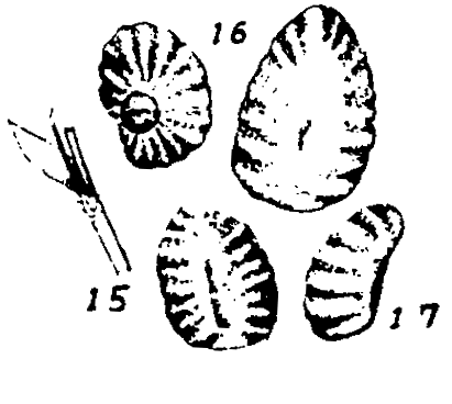 m5-15~17.gif (21191 bytes)