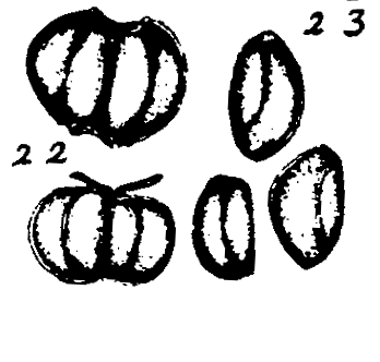 m5-22~23.gif (16320 bytes)
