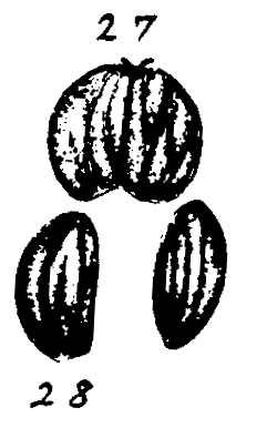 m5-27~28.gif (14129 bytes)