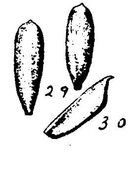 m5-29~30.gif (12166 bytes)