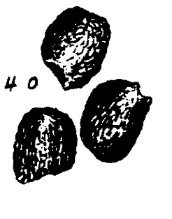 m5-40.gif (11612 bytes)