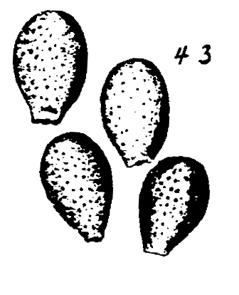 m5-43.gif (18013 bytes)