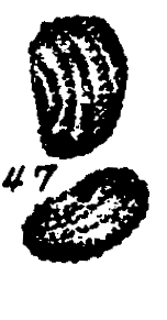 m5-47.gif (8425 bytes)