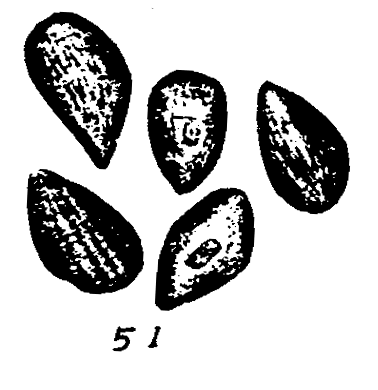 m5-51.gif (19712 bytes)