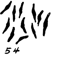 m5-54.gif (6480 bytes)