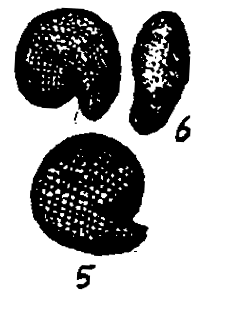 m5-5~6.gif (11082 bytes)