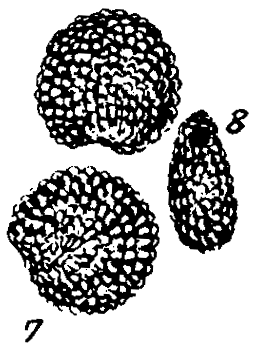 m5-7~8.gif (23961 bytes)