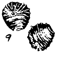 m5-9.gif (9236 bytes)