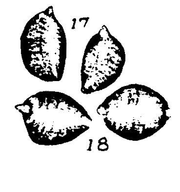 m6-17~18.gif (16972 bytes)