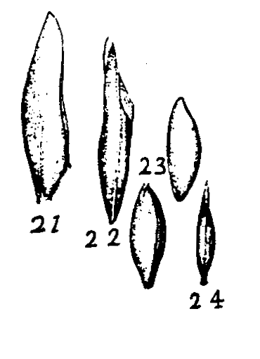 m6-21~24.gif (18481 bytes)