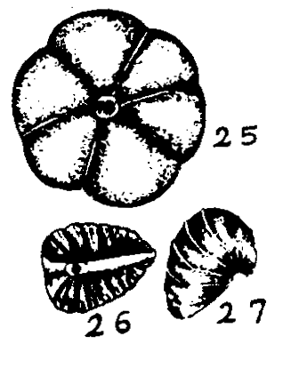 m6-25~27.gif (21081 bytes)