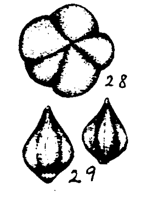 m6-28~29.gif (15204 bytes)
