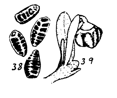 m6-38~39.gif (24977 bytes)