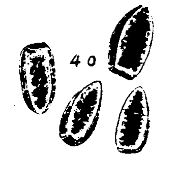m6-40.gif (14927 bytes)