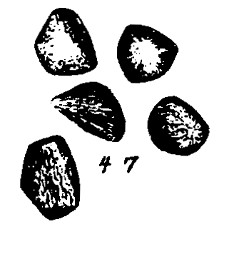 m6-47.gif (13691 bytes)