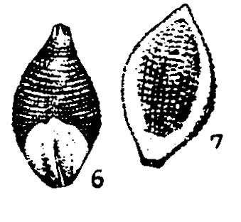 m6-6~7.gif (18167 bytes)