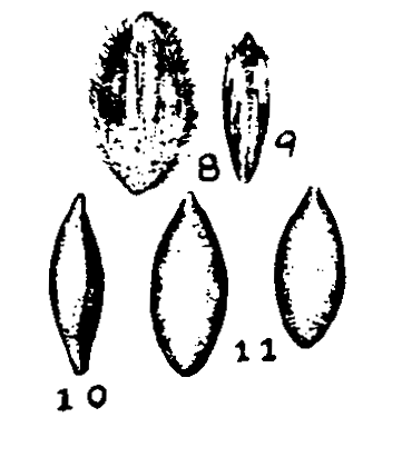 m6-8~11.gif (17510 bytes)